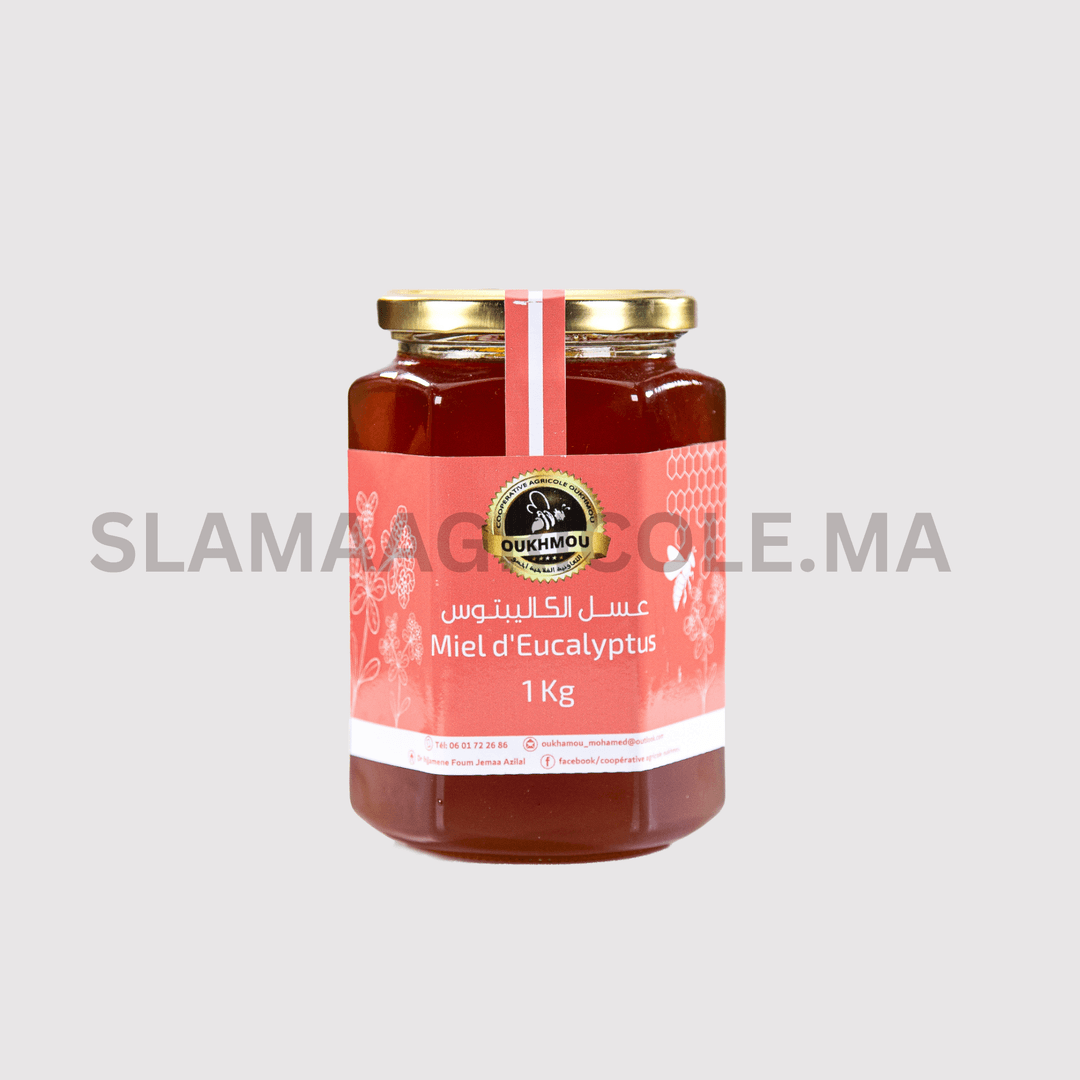 Eucalyptus Honey