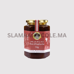 Euphorbia honey - 1KG